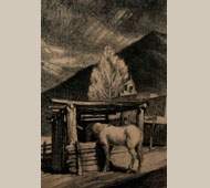 C2814A-thumb.jpg