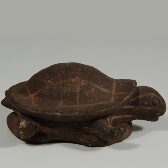 C3595i-turtle.jpg