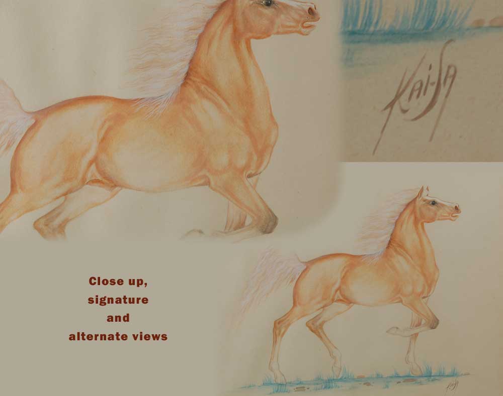 1285704942b.jpg
