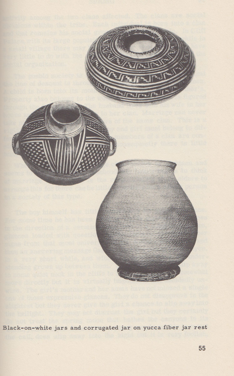 C3809T--large.jpg