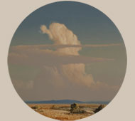C3224AM-thumb.jpg