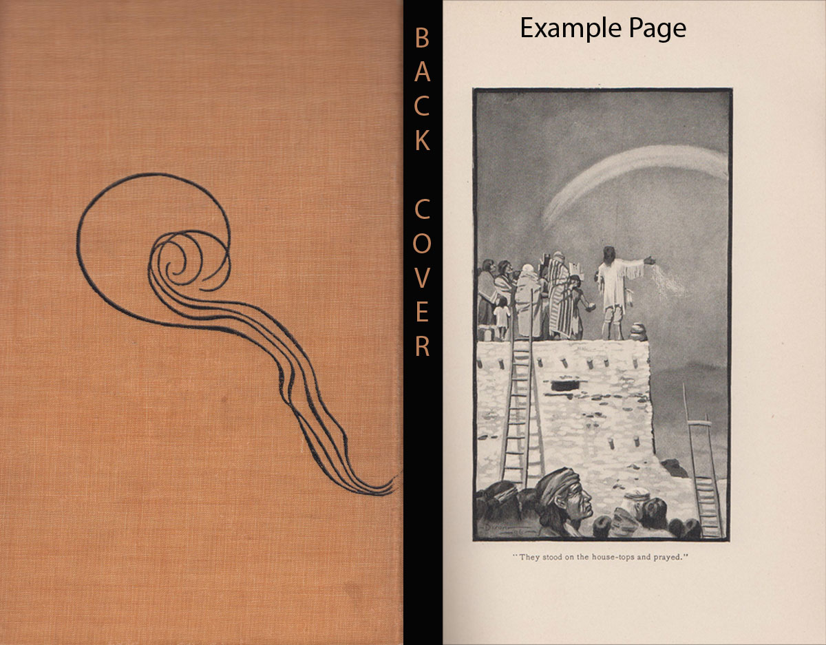 Book Southwest Indian Contemporary Book European American