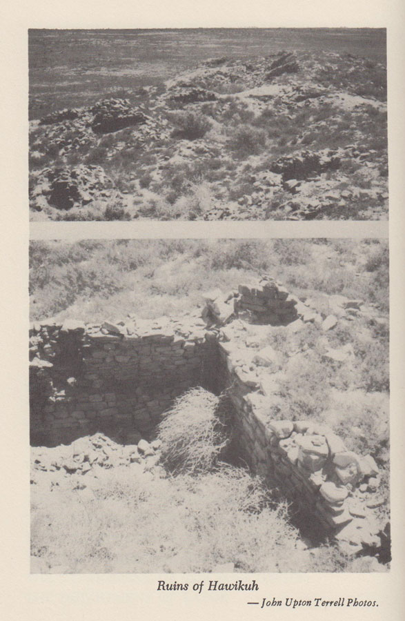 C3713C-large.jpg