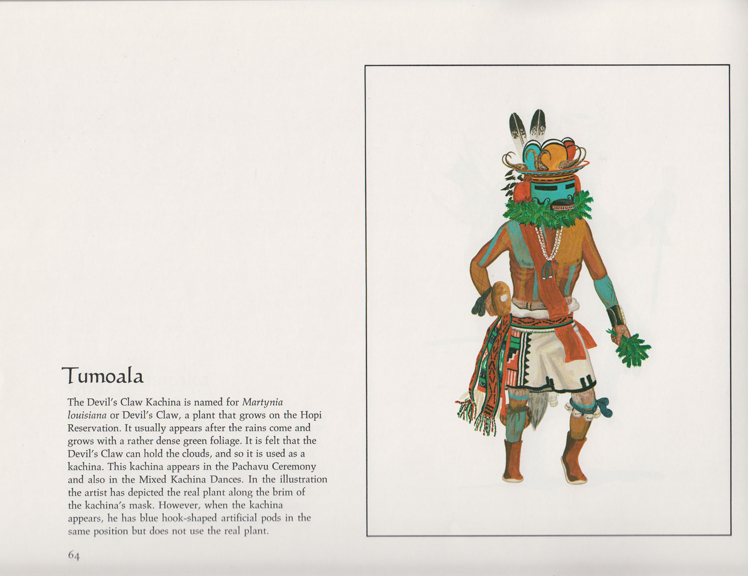 book-kachinas-a-hopi-artists-documentary-large.jpg