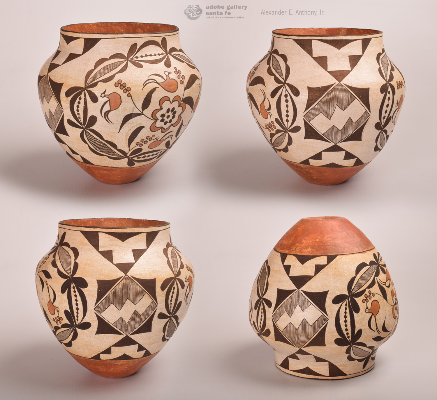 Pueblo Travel Mug Designed by Patricia Lowden – Native-Seeds-Search