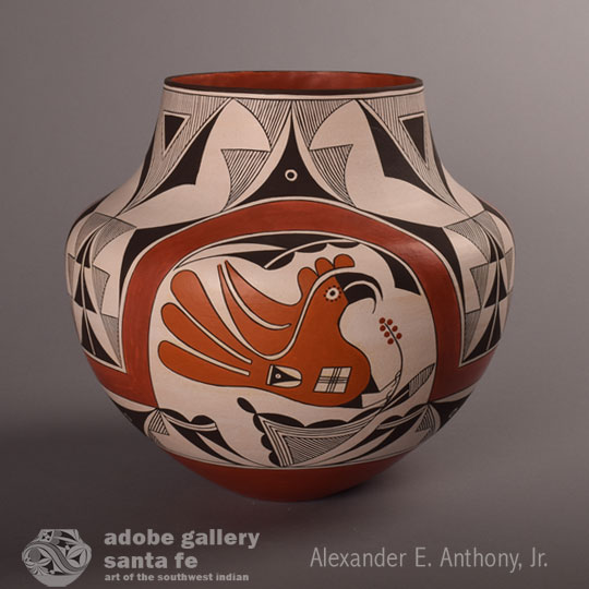 C4264D-acoma.jpg