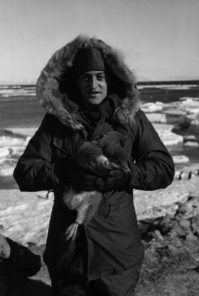 al-antartica-grey-large.jpg