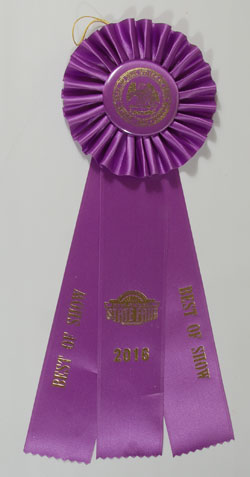 Award ribbon that it earned at the New Mexico State Fair in September 2016.  It was awarded Best of Show and one of the judges who signed the ribbon added the comment “Great Work.”  