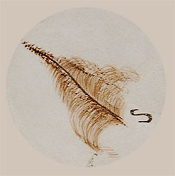 Sylvia Naha signature