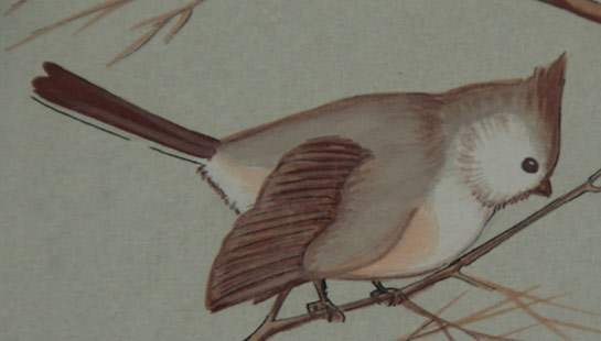 Beatien Yazz was fond of painting birds and animals seen on the Navajo Reservation where he grew up and spent his entire life.  In this painting, he has illustrated two Titmouse Birds resting on tree branches of trees not shown.  This is probably a male and female couple.  The male titmouse is plain grey with a small crest, unlike most male birds that are more colorful.    Beatien Yazz is also known as Jimmy Toddy, a name given him by the school teachers. His father was known as Joe Toddy. Loosely translated, Toddy is the Navajo word for "bluebird." Sally Lippincott is believed to be responsible for his other name, Bea Etin Yazz, which translates to Little No Shirt. An artist who hung around the Wide Ruins Trading Post owned by the Lippincotts habitually ran around without a shirt. Customers called him No Shirt, so when young Toddy started emulating him, he was dubbed Little No Shirt.  Condition:  appears to be in original condition but has not been examined out of the frame. Provenance:  written on verso in ink is the following:  To my precious little Grand daughter Kathryn. Gram B (Gram B was Frances Balcomb, matriarch of the famous Balcomb gallery family.)  Kathryn, the current owner, is a granddaughter of Frances Balcomb. Recommended Reading: Yazz: Navajo Painter [SOLD] by J. J. Brody 