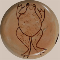 Joy Navasie - Frogwoman signature