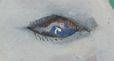 close up view of the horse's eye