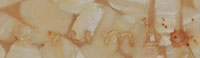 Signature of Woodrow Wilson Crumbo  (1912-1989) Woody Crumbo