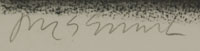 Jaune Quick-To-See-Smith (1940-present) signature