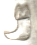 There is a stamped hallmark but we were unable to link the hallmark to an artist. 