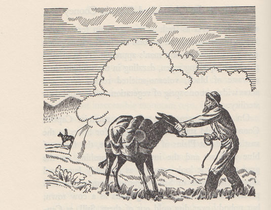 Example image from this book.
