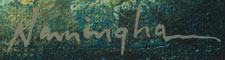 Dan Namingha (1950- ) signature