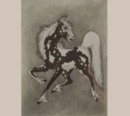 Ghost Horse