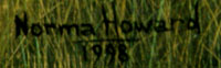 Norma Howard (1958- ) signature