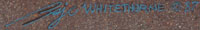 Baje Whitethorne, Sr. (1950- ) signature