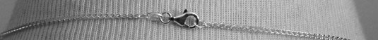 The pendant hangs from a sterling silver chain.
