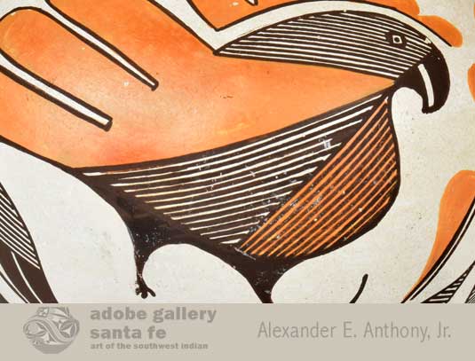 Close up view of side panel design - Acoma Parrot.