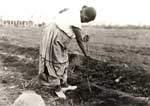 Picture of Ida Redbird  Maricopa Indian