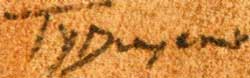 Picture of Ty Duwyenie signature